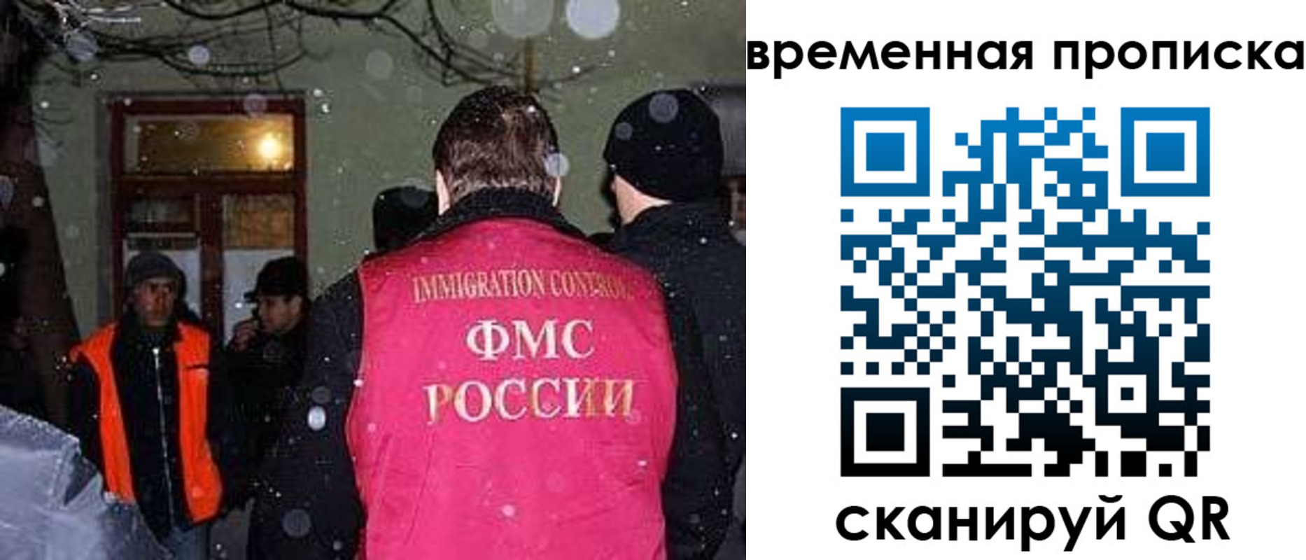 прописка поиск в Ермолино